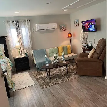 Bright Spacious Studio Near City And Palm Beach